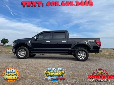 2024 Ford F-150 XLT