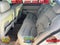 2001 Buick Park Avenue Ultra